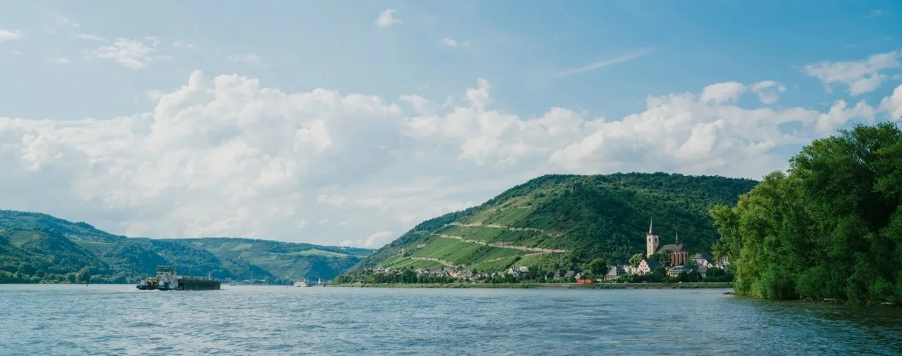 Landgasthof Rebstock — photo 13
