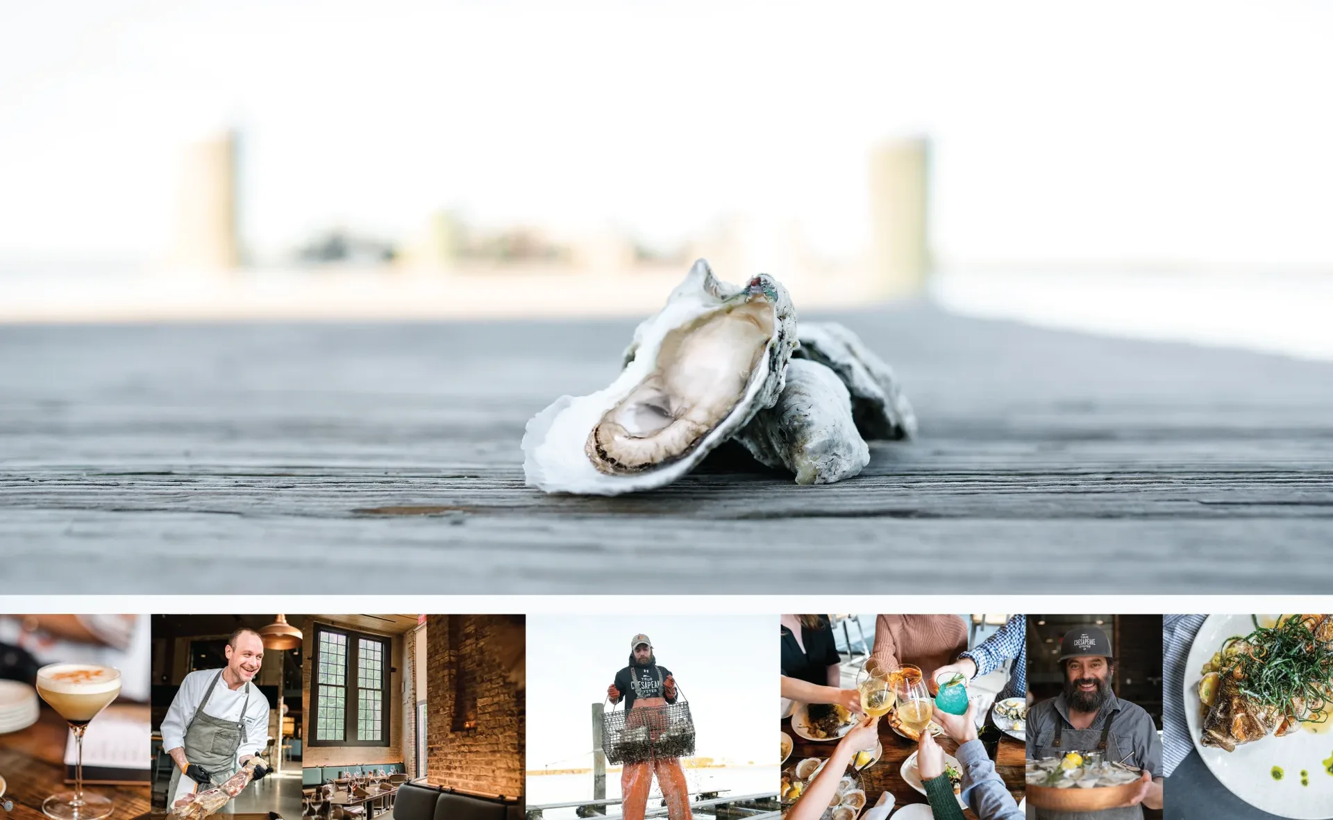 True Chesapeake Oyster Co. — photo 8