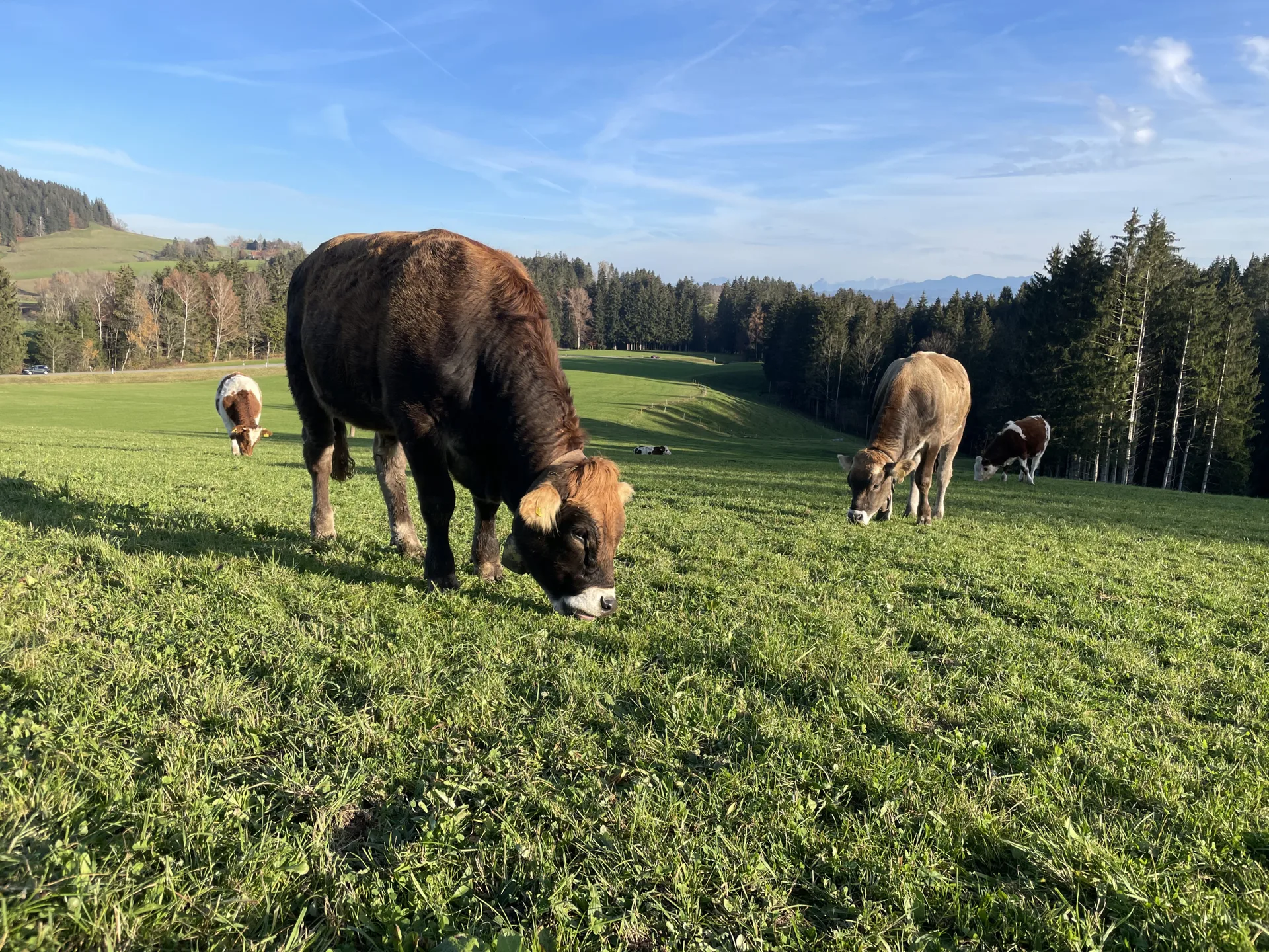 Landgasthof Alte Säge — photo 17