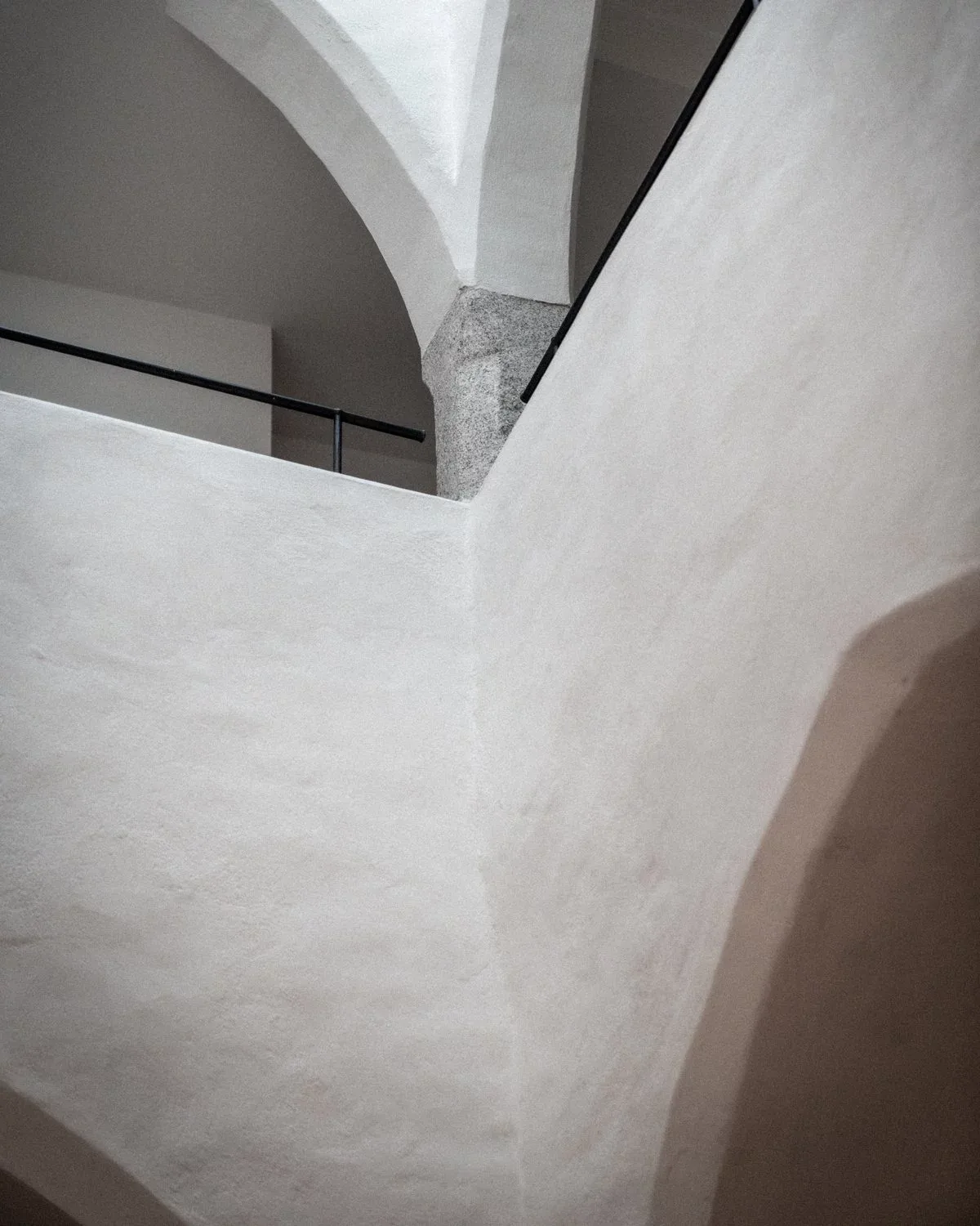 Vitis — photo 20