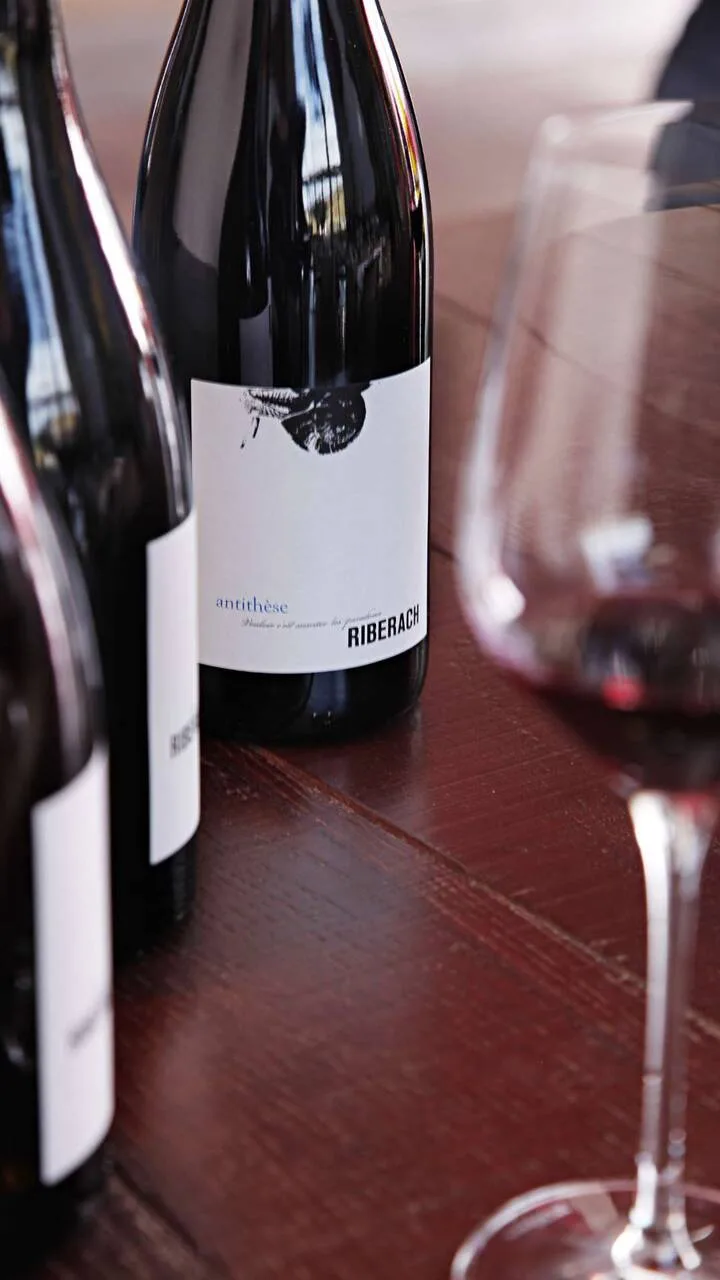 La Coopérative - Domaine Riberach, Ille-sur-Têt