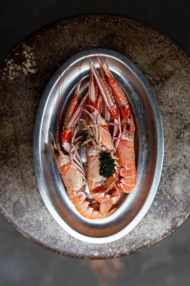 Comptoir Sur Mer — photo 15