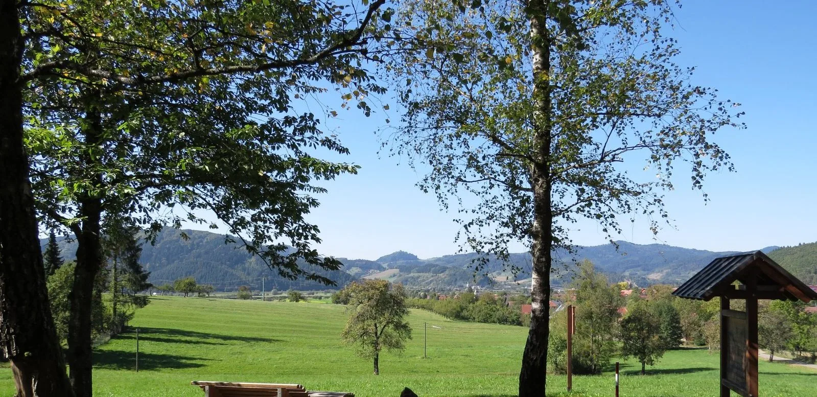 Gasthaus zum Pflug — photo 27