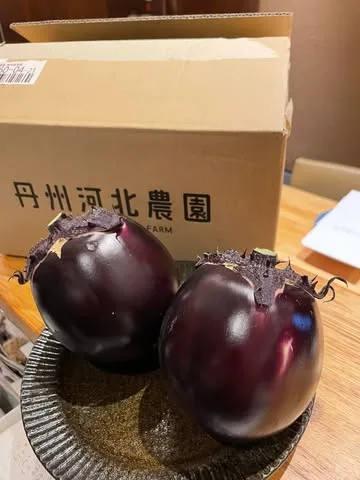 YOSHOKU OGATA — photo 4