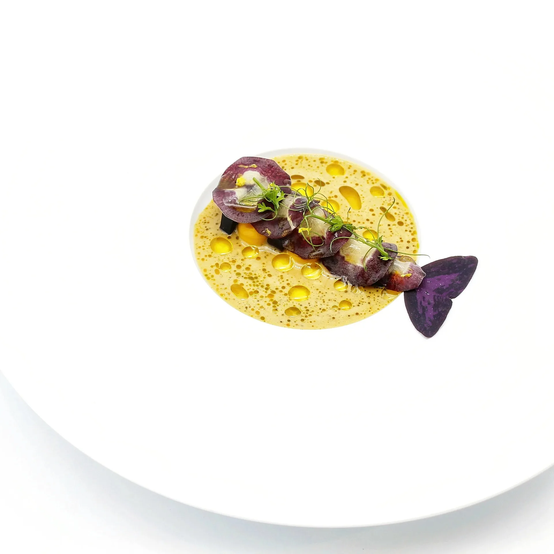 Restaurant Papilio — photo 25