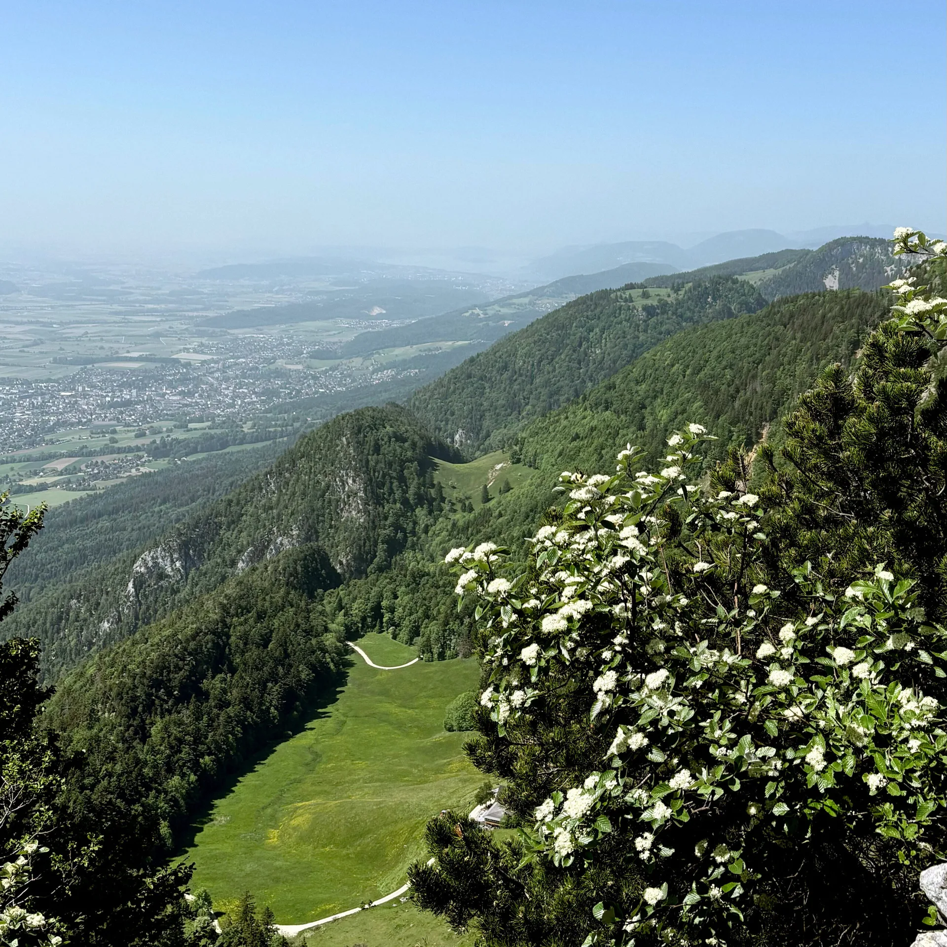La Couronne — photo 39