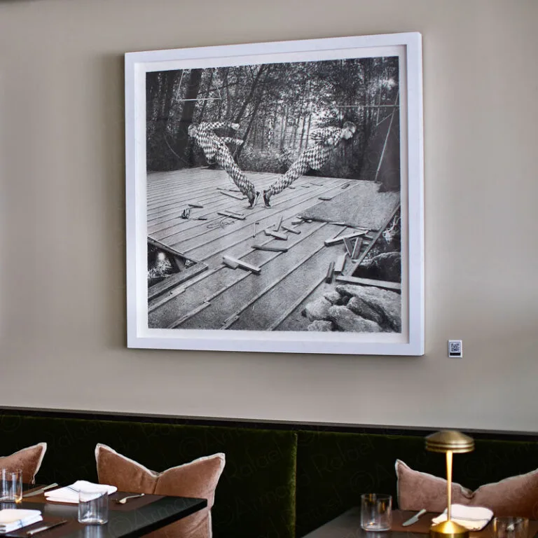 Finch — photo 13