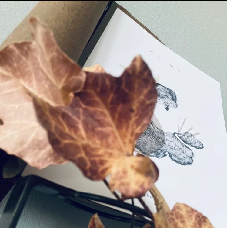 ANIMA — photo 18