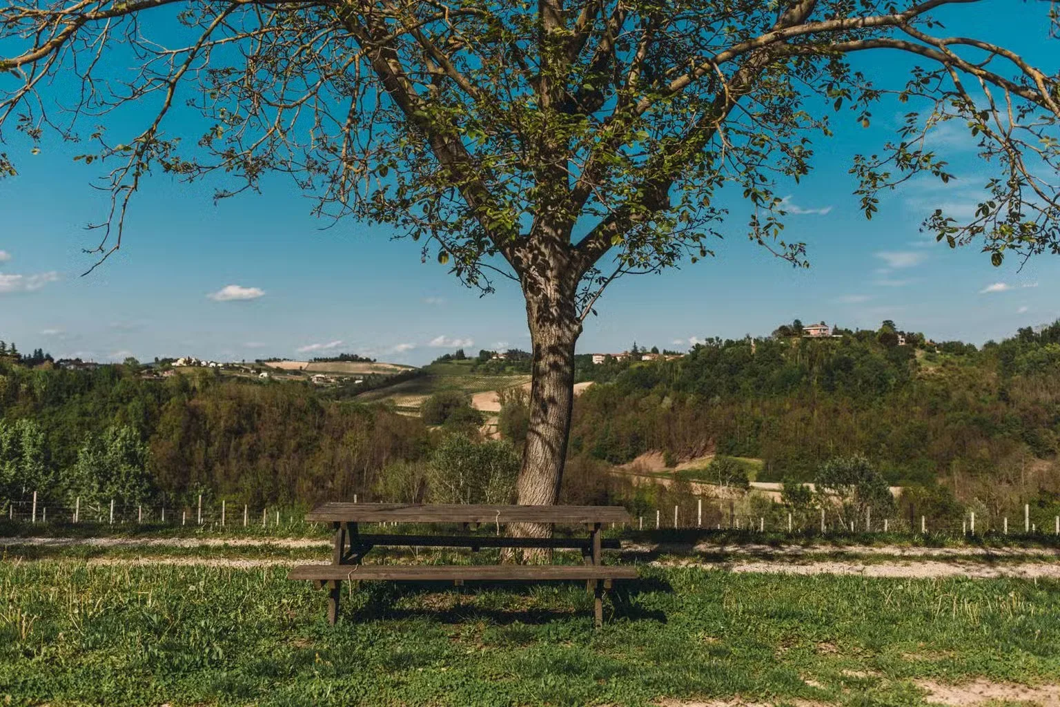 Agriturismo Terra d'Origine dei Durando — photo 66
