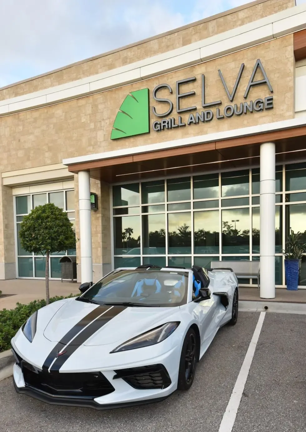 Selva Grill — photo 67