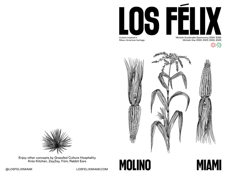 Los Félix — photo 15