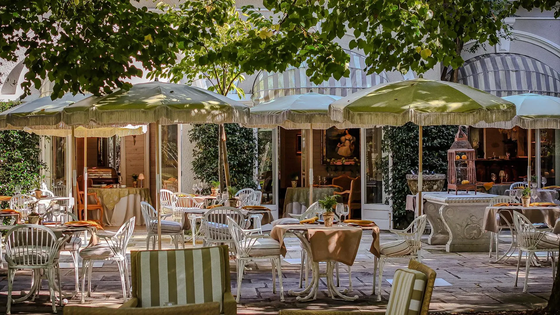 L'Orangerie — photo 8