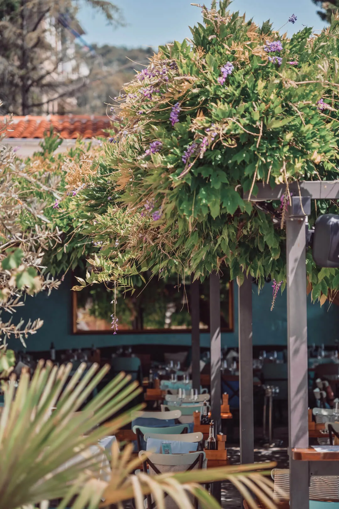 Ostaria Veranda — photo 99