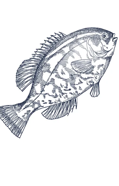 Tautog's — photo 4