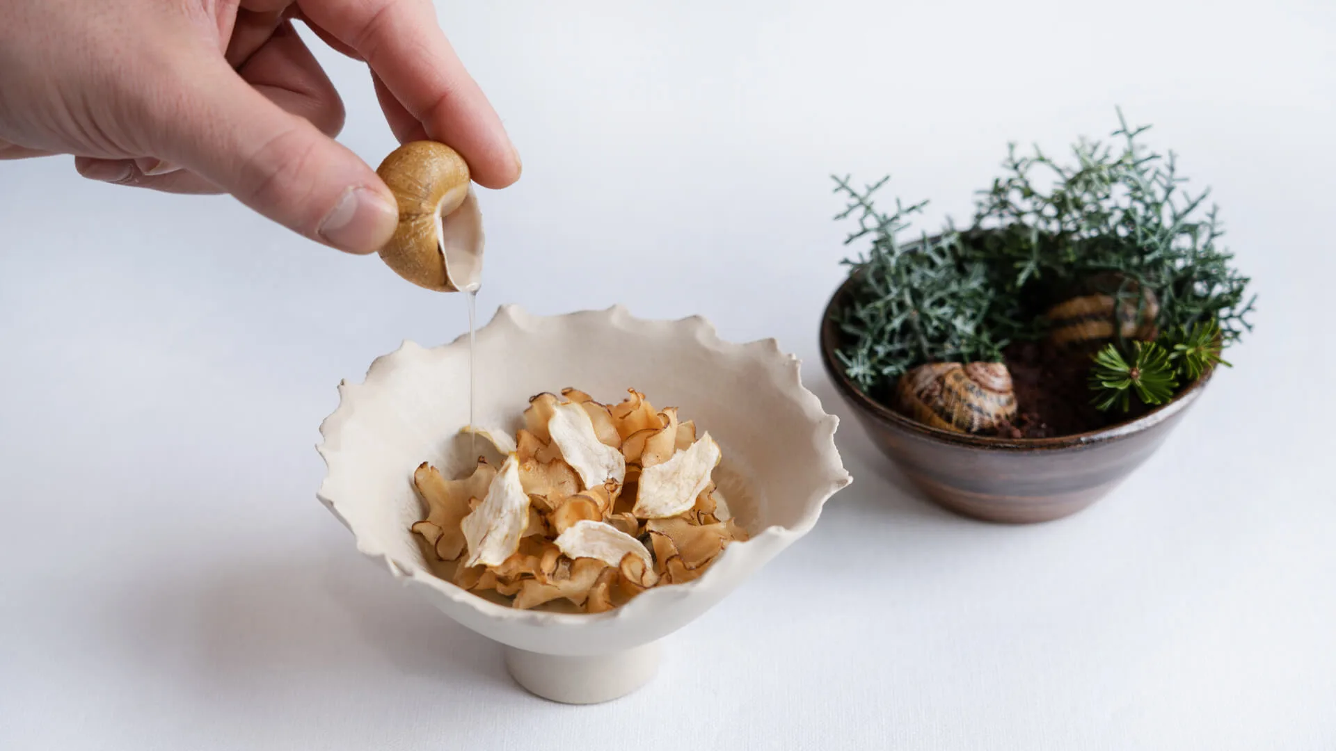 Saporium — food