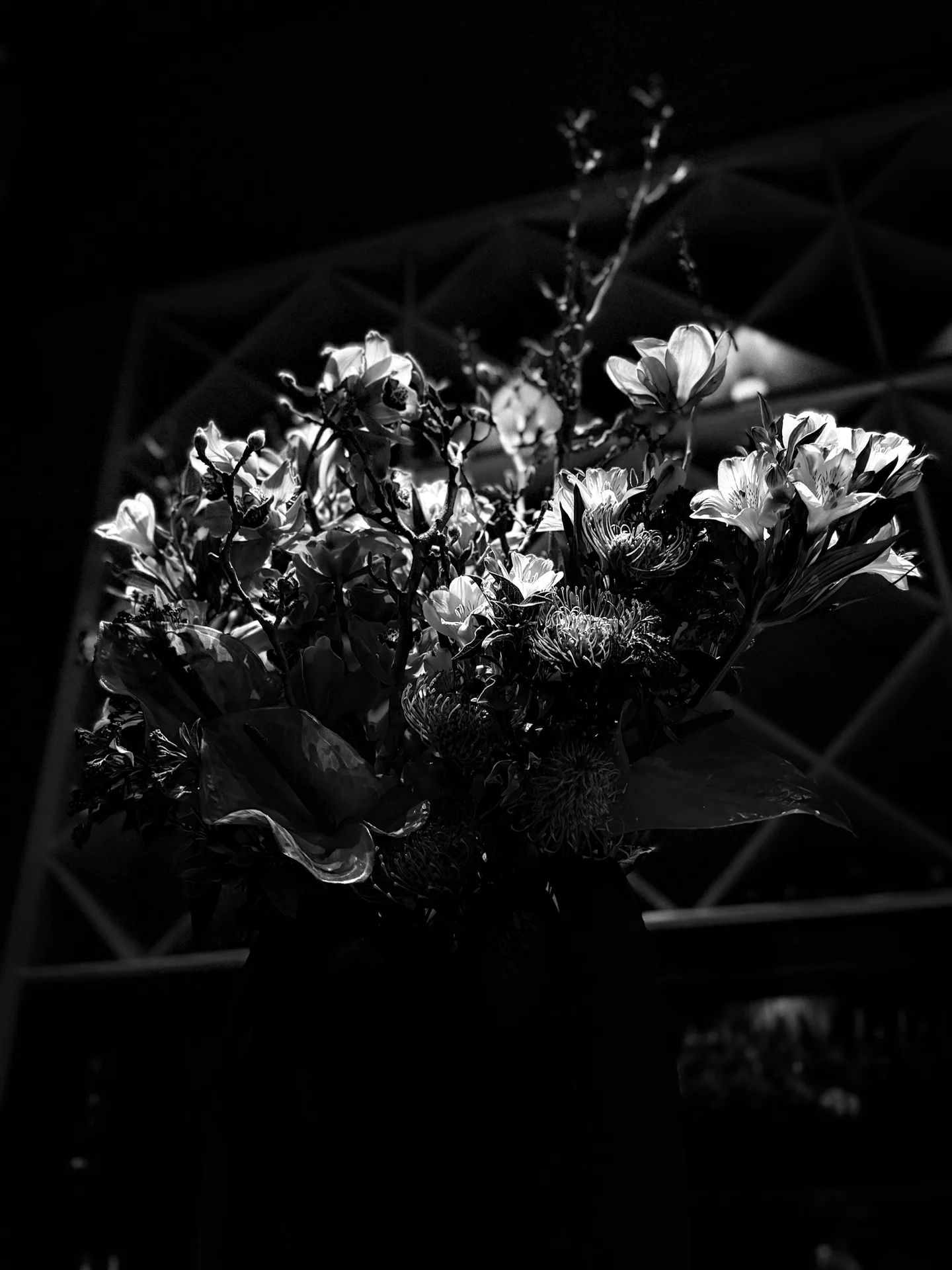 Charlie Trotter's — photo 44