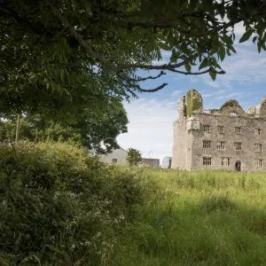 Gregans Castle Restaurant — photo 45