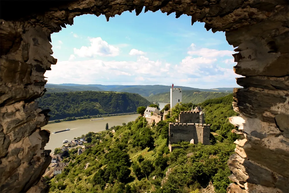 Zum Weißen Schwanen — photo 6
