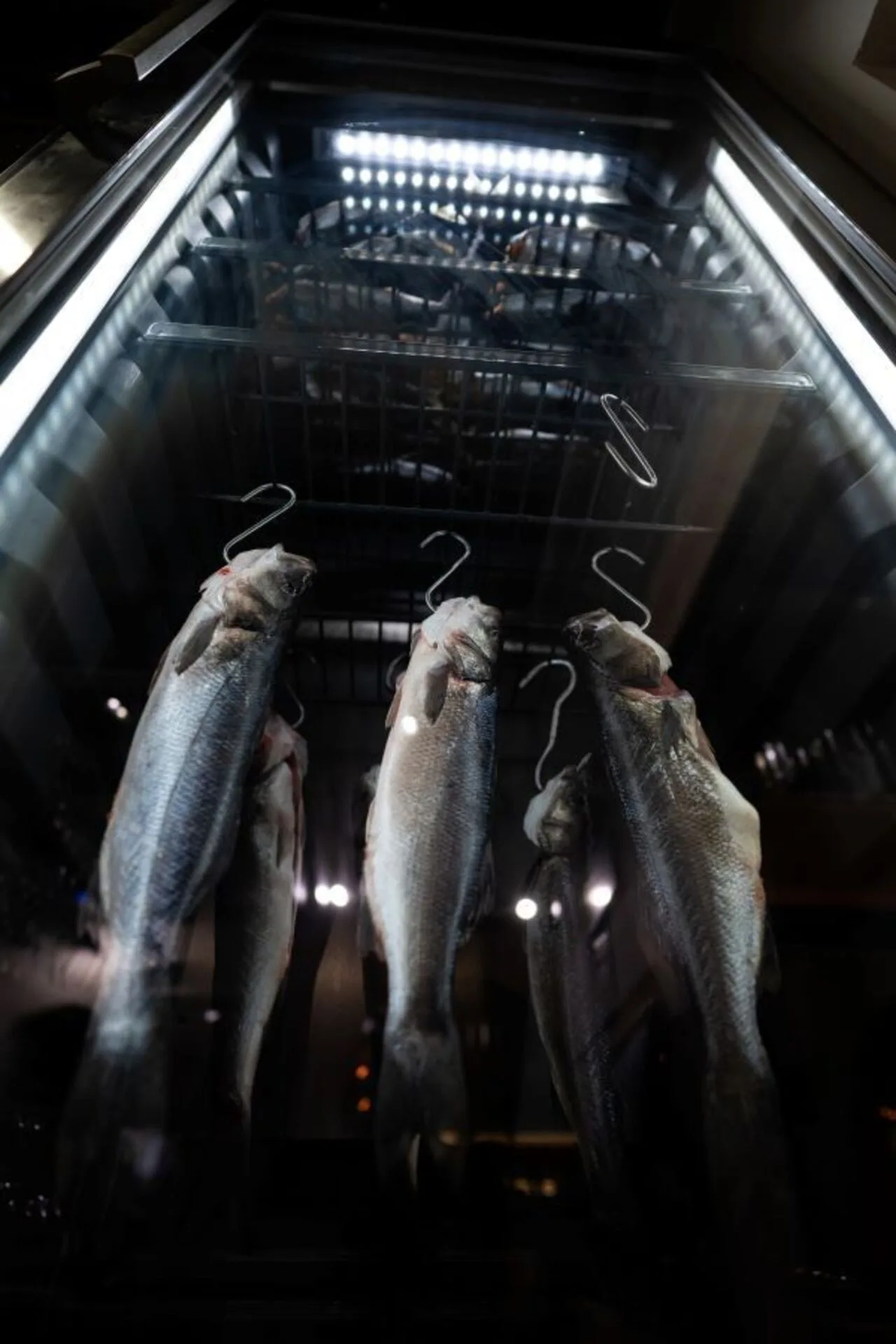 Labrax Fish@Wine bar — photo 32