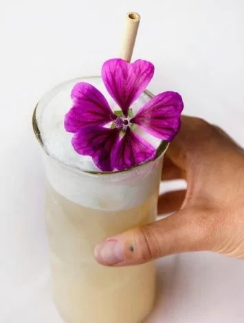 Maison Boire — drink