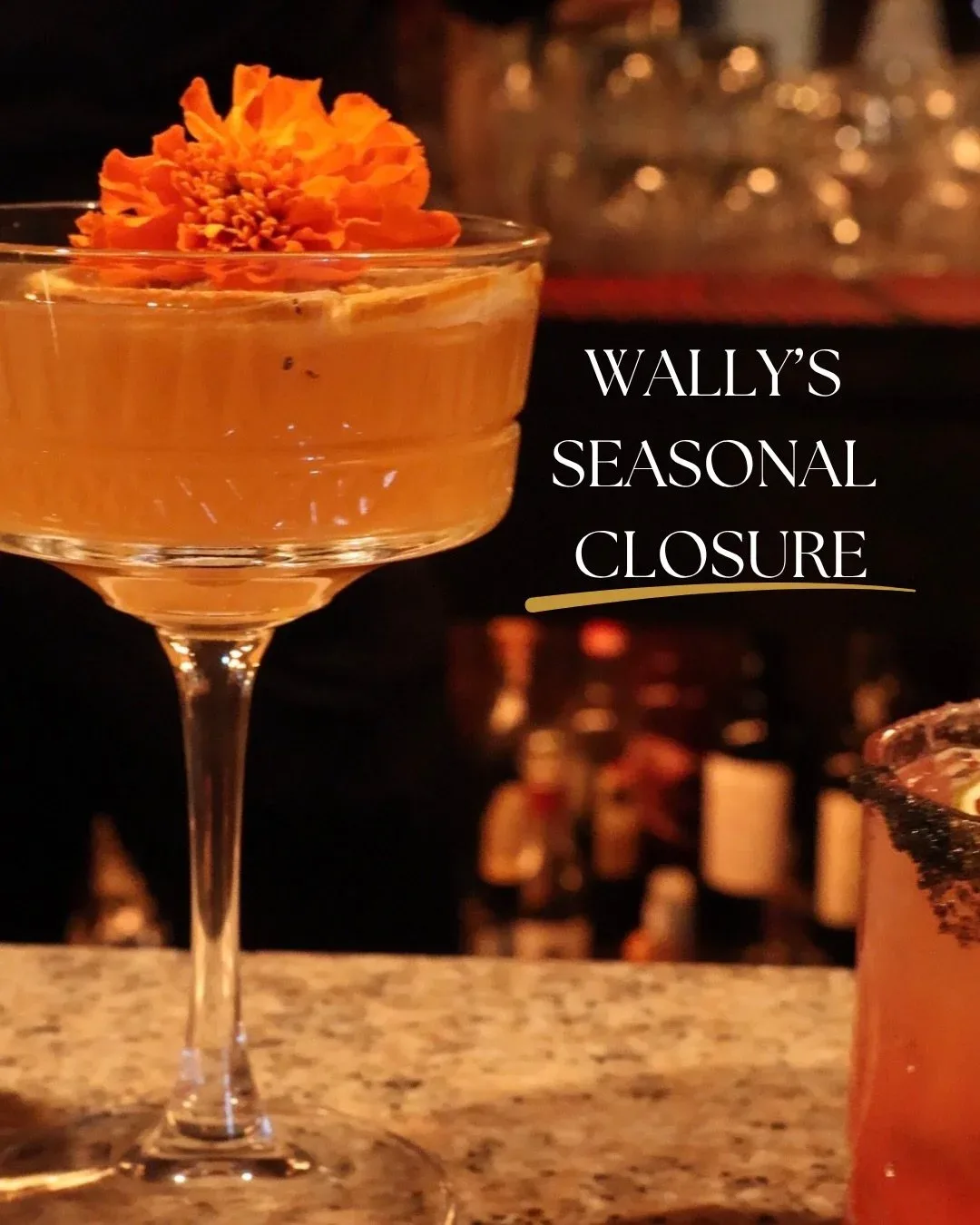 Wally's Desert Turtle — photo 27