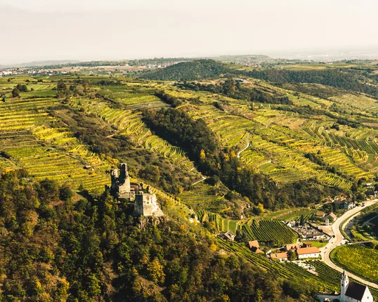 Weingut Nigl — photo 47