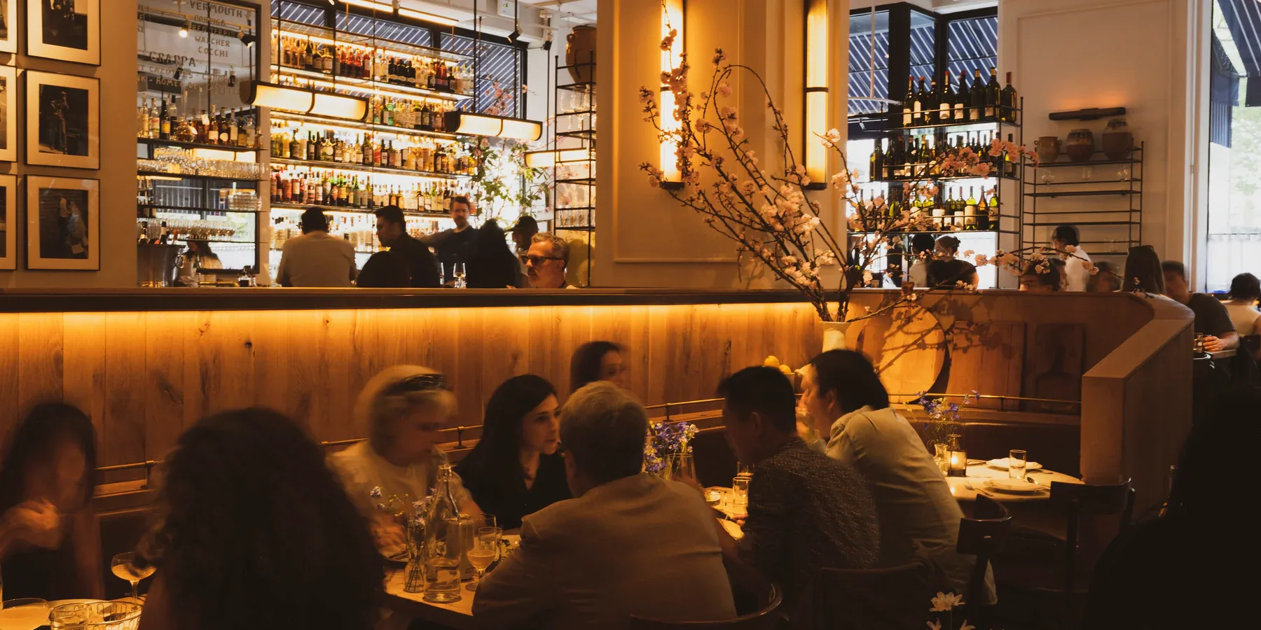 Altro Paradiso, New York City