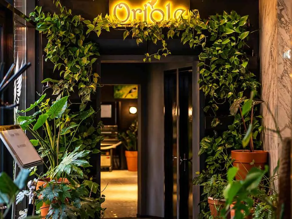 Oriole Garden Bistro — photo 19