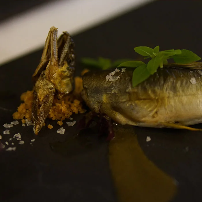 MOTOÏ — photo 12
