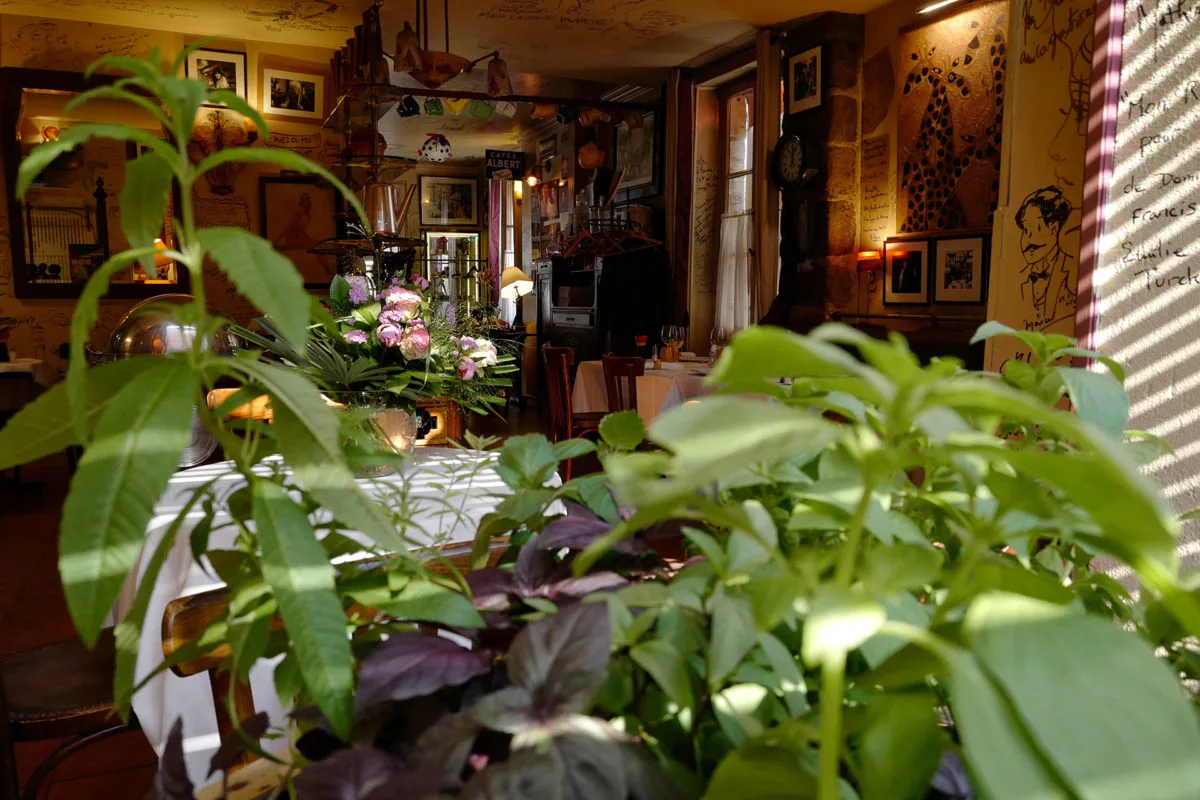 Chez Francis — photo 48