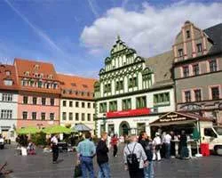 Restaurant Kalckreuth — photo 14