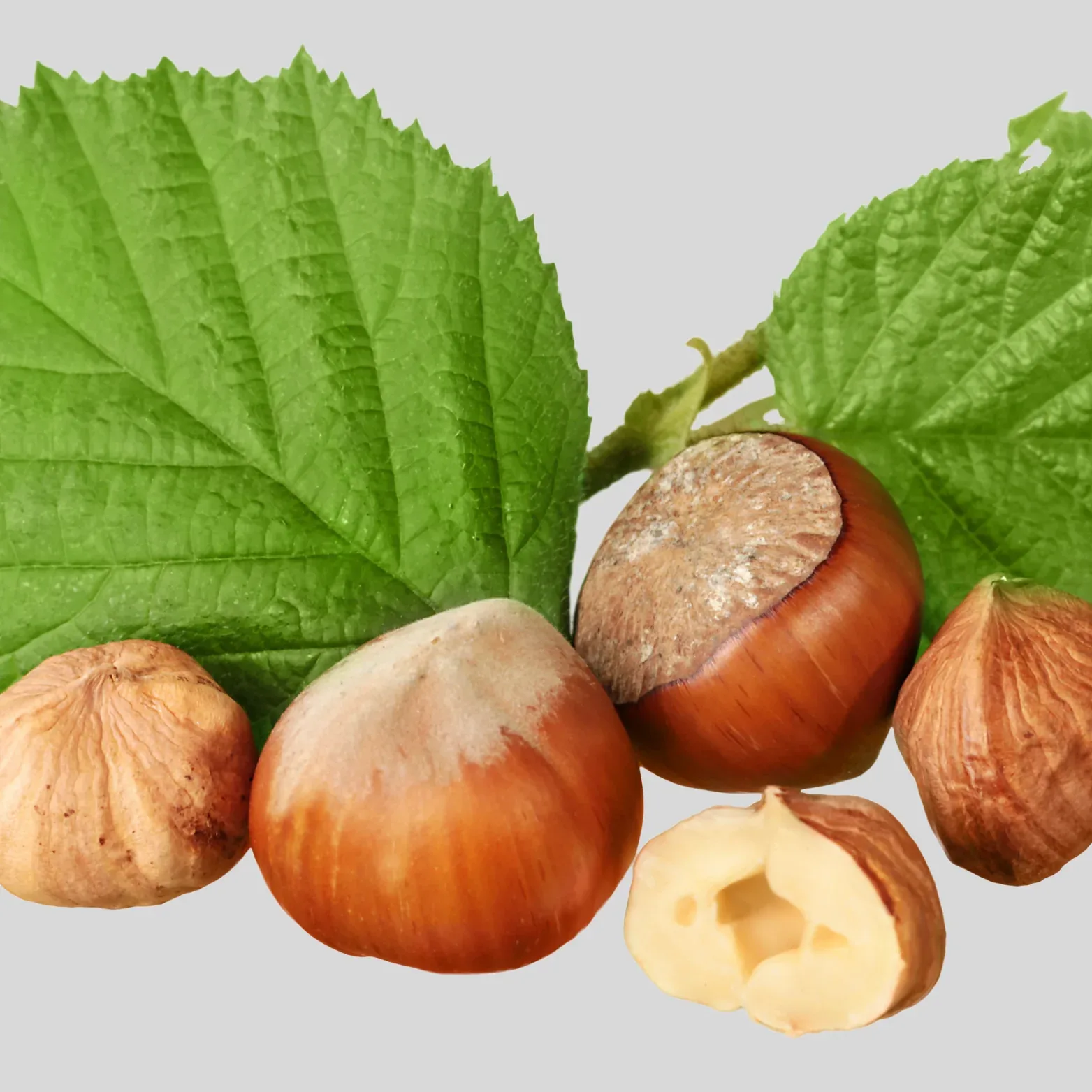 Anthony's Kitchen — photo 59