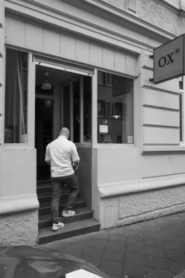 OX — photo 8