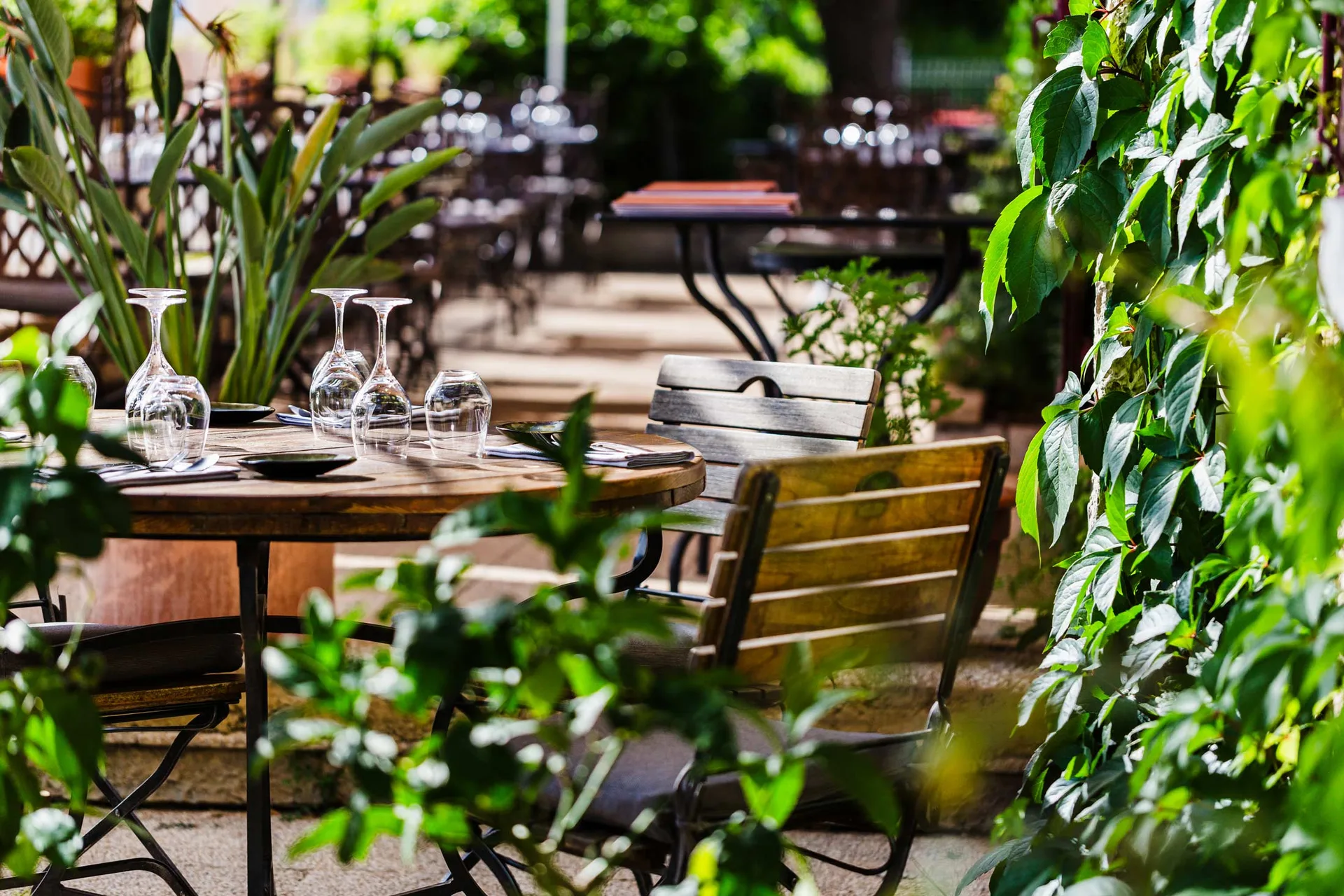 La Colombe — photo 13