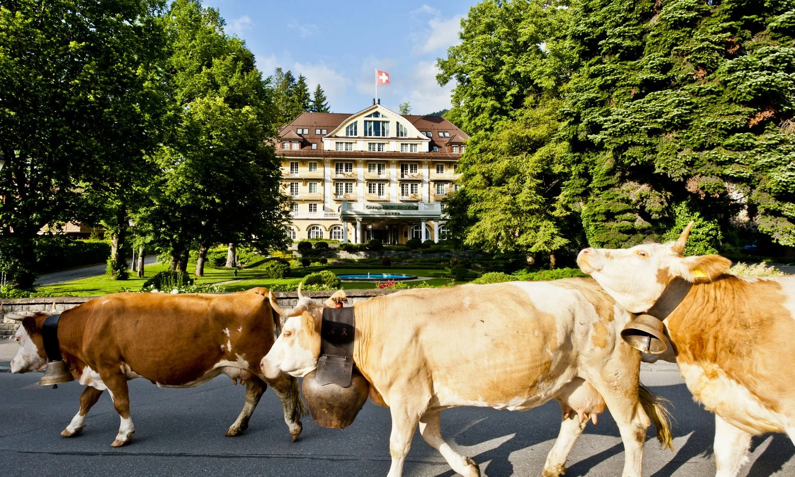 Le Grand Bellevue — photo 17