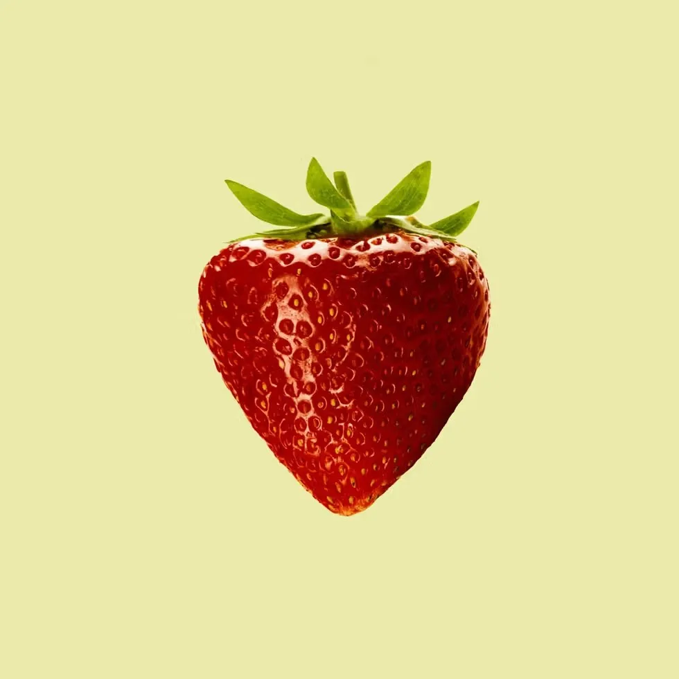 Nemo — food