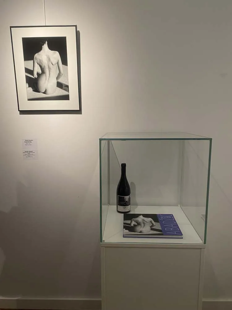 Restoran Vinarija Josić — photo 5