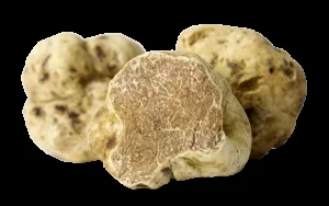 La Truffe Noire — photo 30