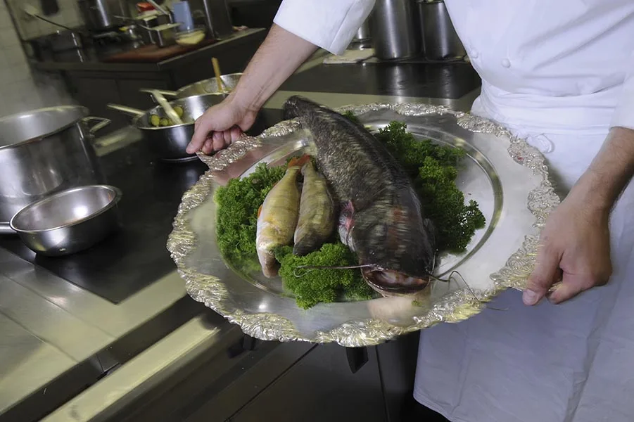 3 Fische — photo 11