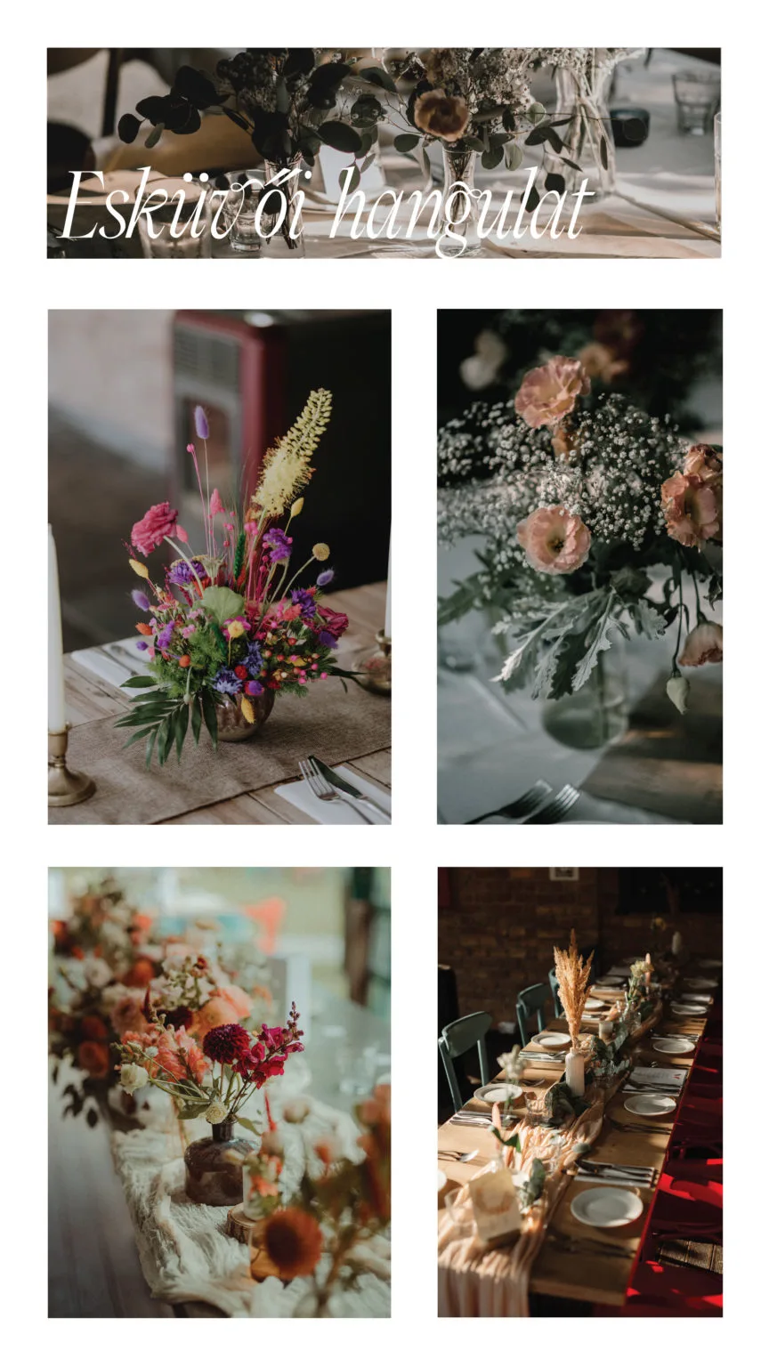 Fióka — photo 9