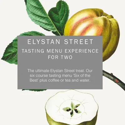 Elystan Street — photo 7