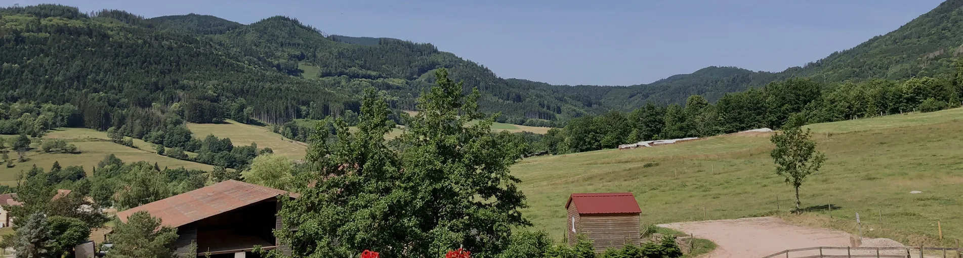 Auberge Chez Guth — photo 5
