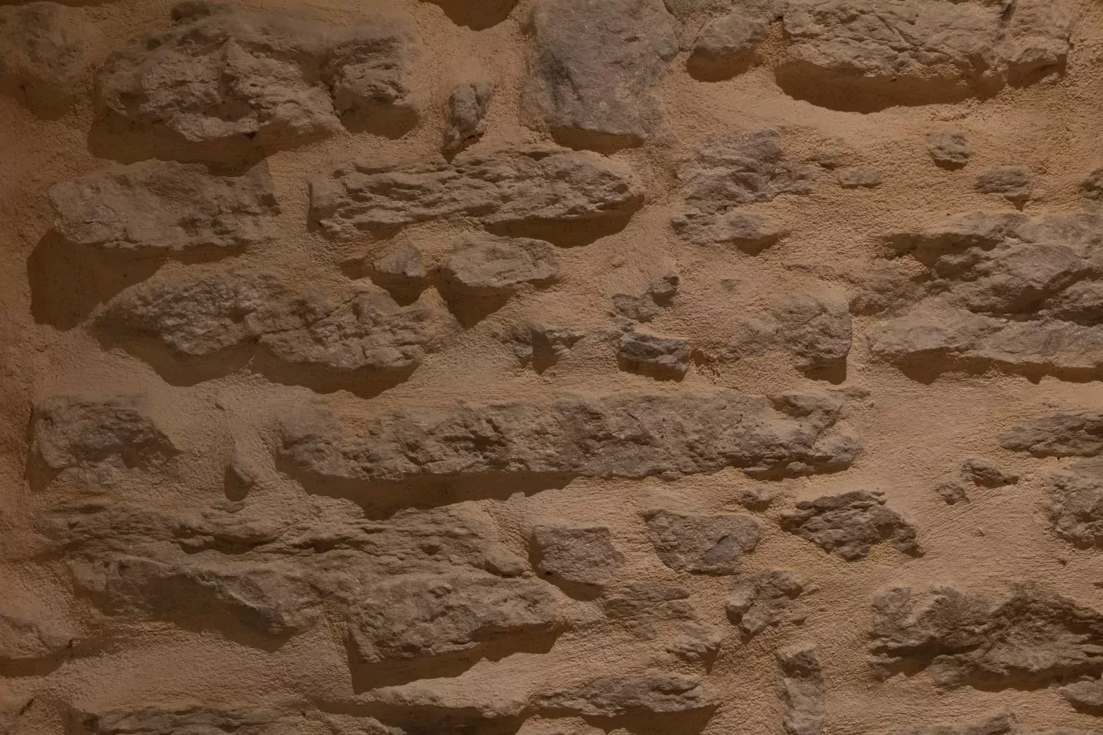 Palégrié Chez l'Henri — photo 5