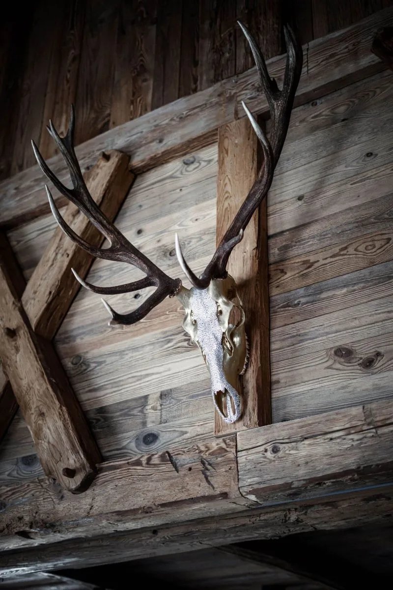 Gamskogelhütte Fine Dining by Stefan Lastin — photo 17