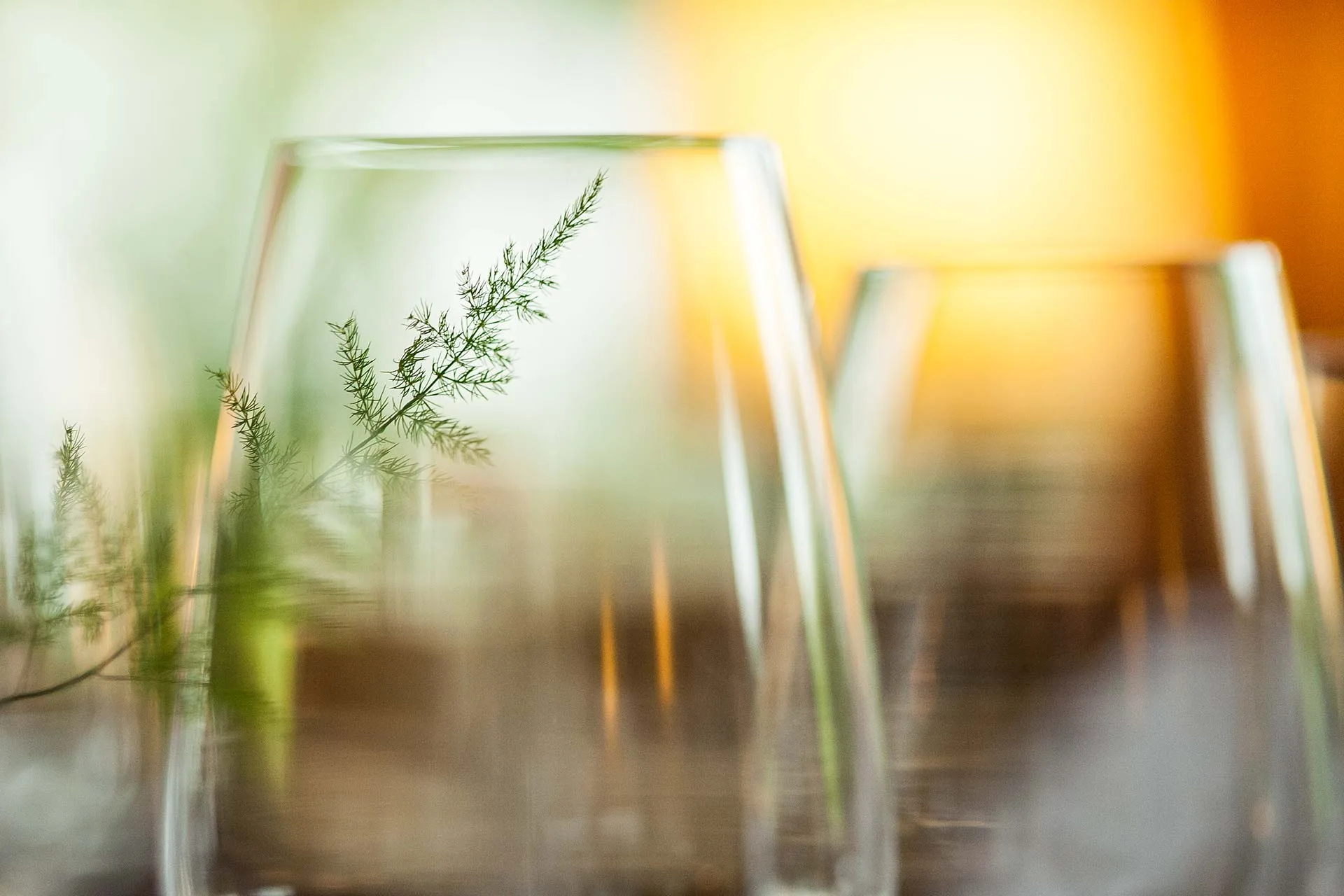 Restaurant Lamm — photo 19