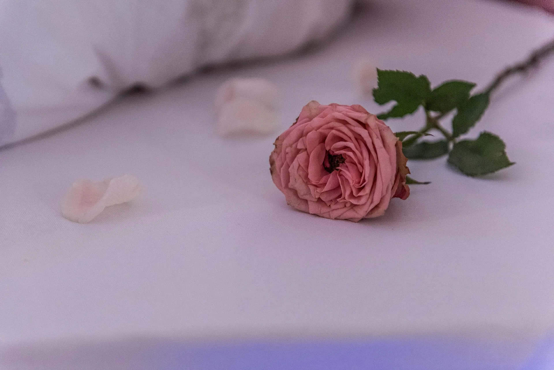 Tredecim by Monika Jans und Thomas Huber — photo 28