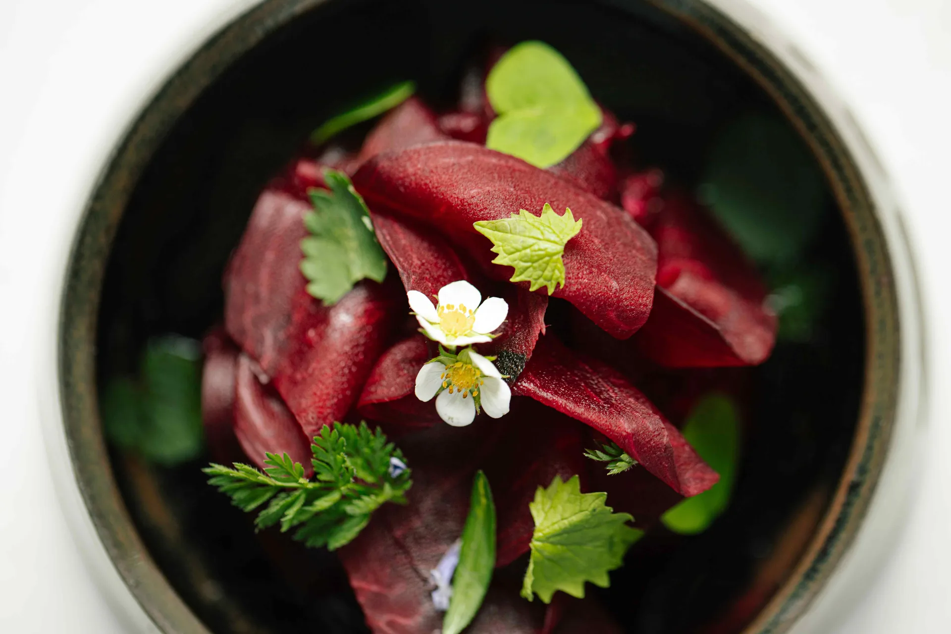 Rechberg 1837 — food