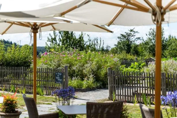 Les Jardins Sauvages - La Grée des Landes — photo 30