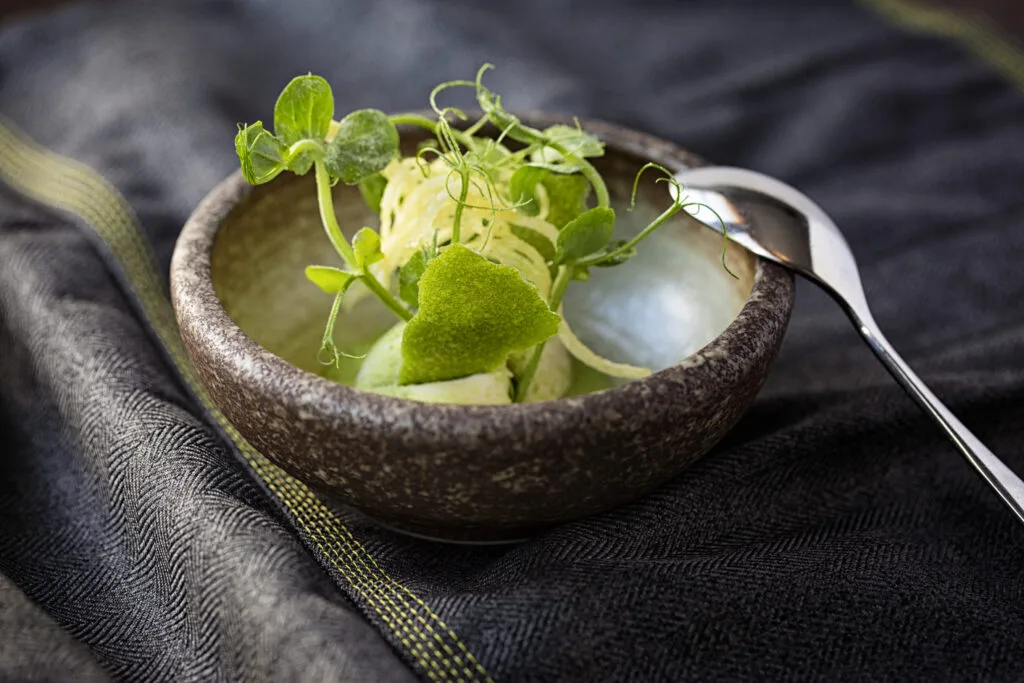 Purslane — photo 9