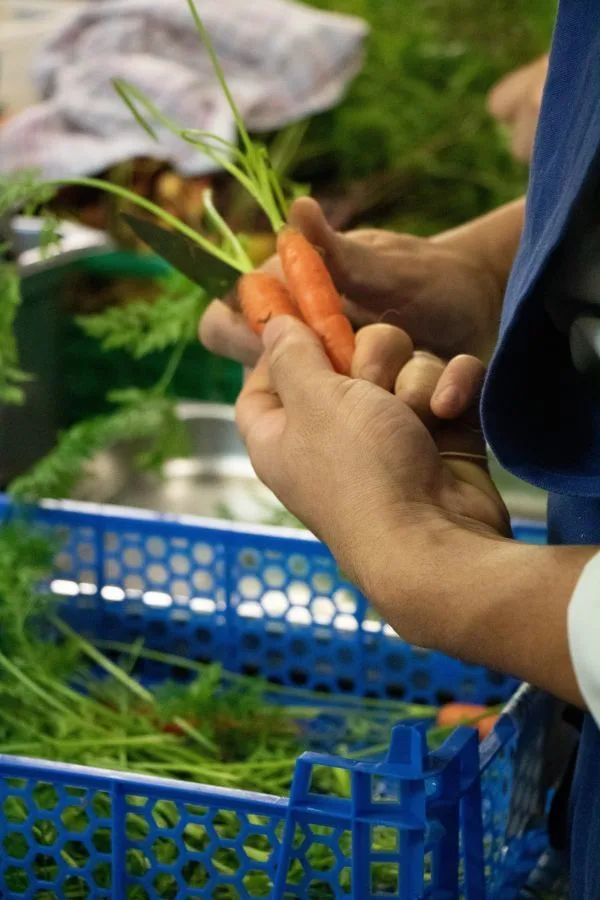 Les Tourelles - Château d'Apigné — photo 17